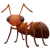 Ant - Facebook