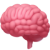 Brain - Facebook