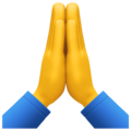 person-with-folded-hands_1f64f
