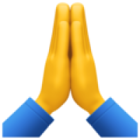 person-with-folded-hands_1f64f